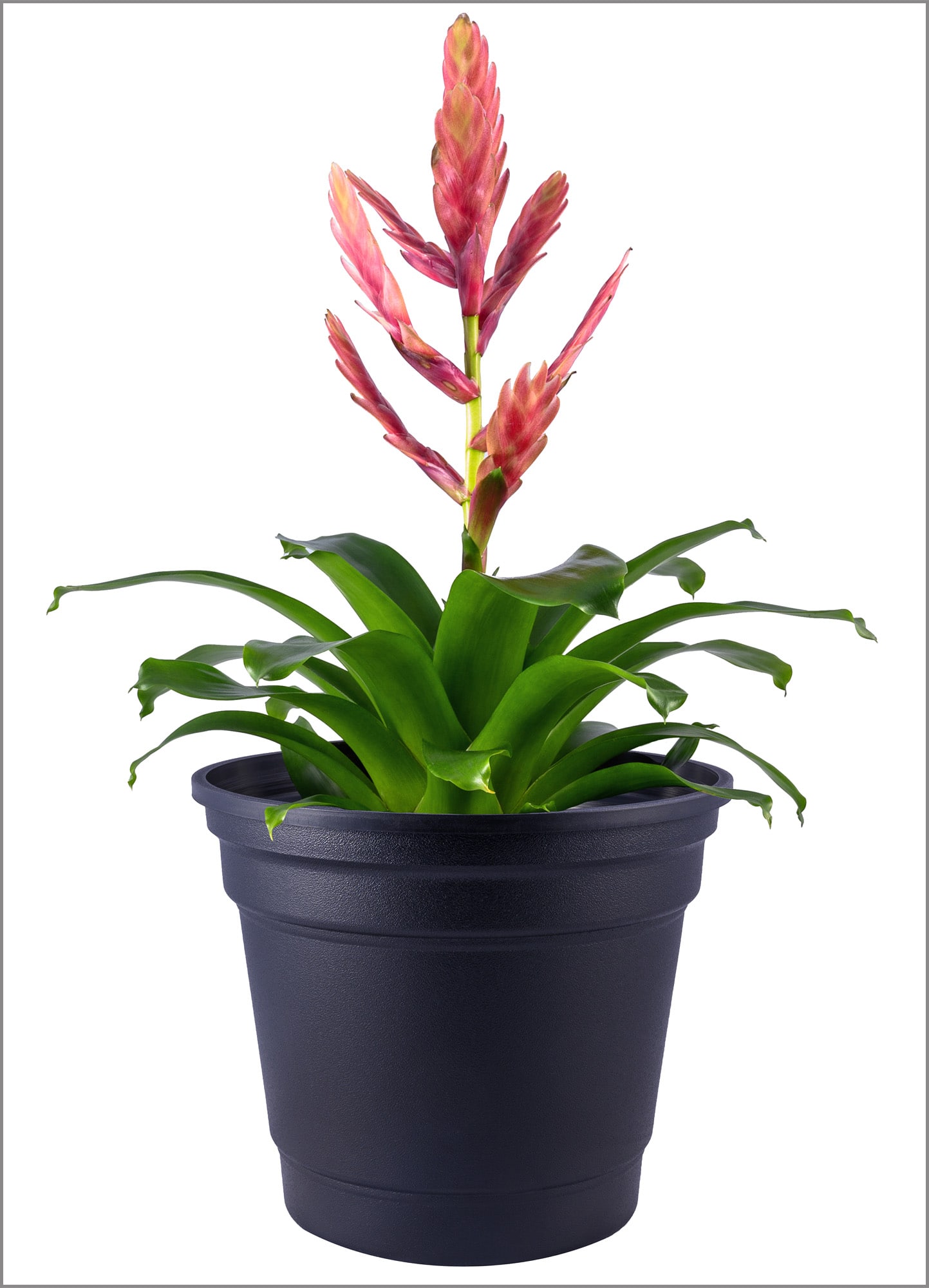 Producent doniczek ozdobnych